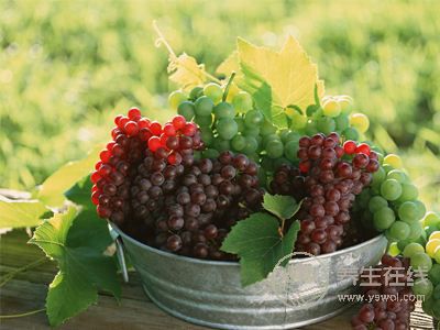 秋天吃葡萄營養價值高 秋天吃葡萄營養價值高