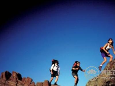 秋季運動養生：慢跑最佳