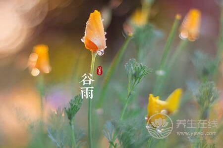2019年谷雨是幾月幾號?