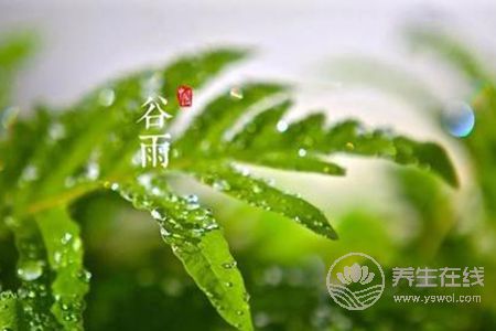 什么是谷雨節氣?