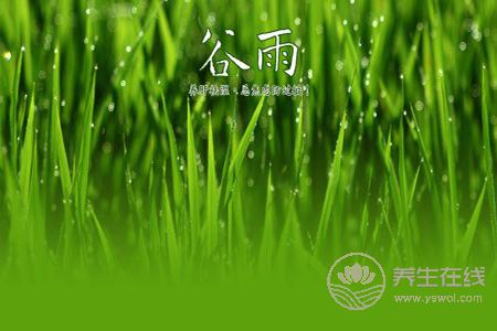 2019年谷雨是哪天? 2019年谷雨是哪天?