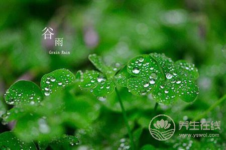 2019年谷雨是哪天? 2019年谷雨是哪天?