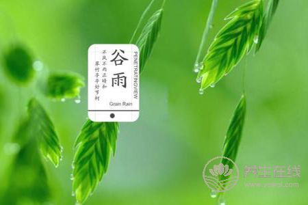 2019年谷雨是幾月幾號?