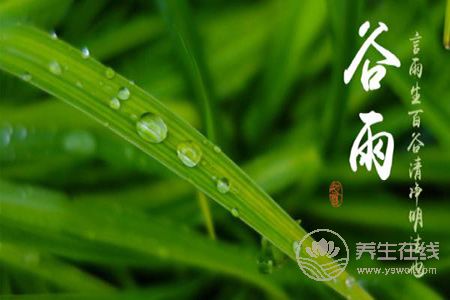 2019年谷雨是幾月幾號?