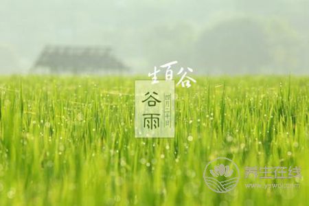 什么是谷雨節氣?