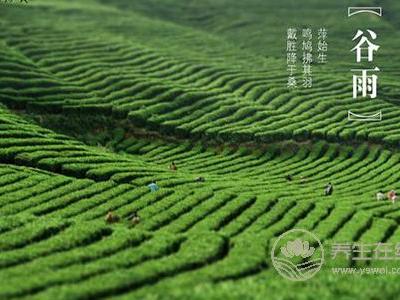 谷雨節氣的由來?