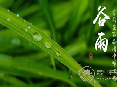 2019年谷雨是幾月幾號?