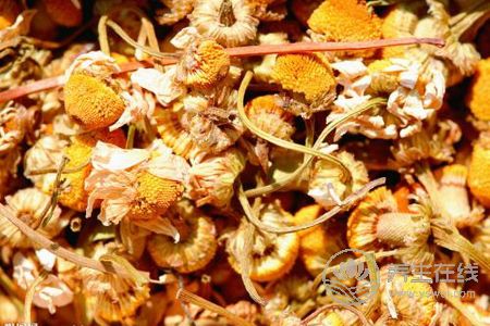 大暑吃中藥好不好