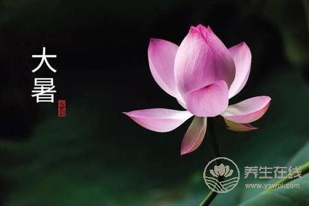 大暑預防哪些疾病發生?