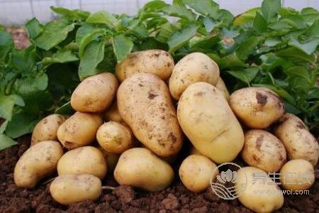 大暑天有哪些飲食禁忌呢?