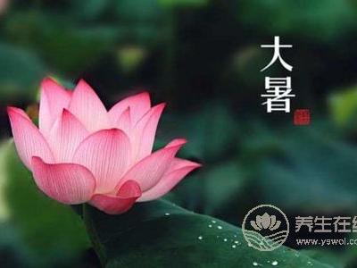 大暑吃阿膠好不好?