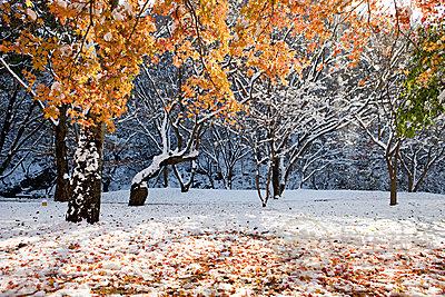 細數(shù)小雪節(jié)氣養(yǎng)生藥膳-易網(wǎng)健康養(yǎng)生網(wǎng) 細數(shù)小雪節(jié)氣養(yǎng)生藥膳