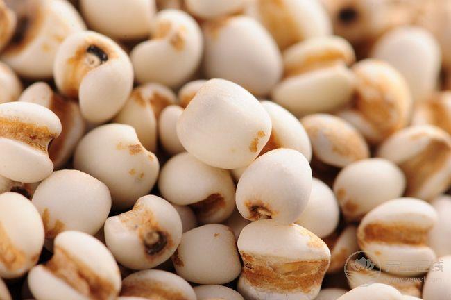 芒種節氣養生: 飲食宜清補 宜吃八寶-易網健康養生網 芒種節氣養生: 飲食宜清補 宜吃八寶