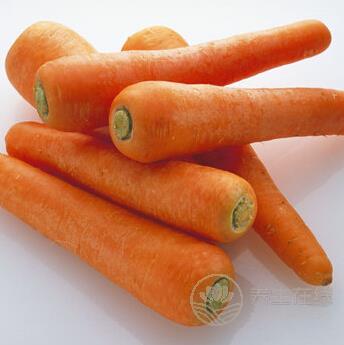 秋分節氣養生必吃10種蔬菜 滋補潤燥