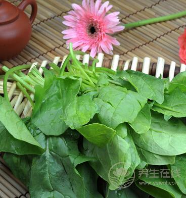 秋分節氣養生必吃10種蔬菜 滋補潤燥