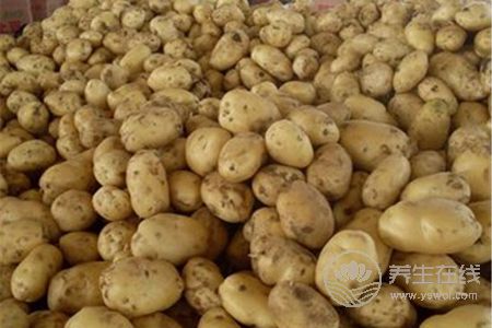 大暑如何保濕祛斑?大暑節氣如何養生?