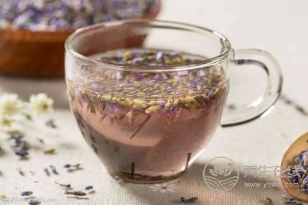 大暑女人喝什么茶養生好?大暑有哪些養生茶?