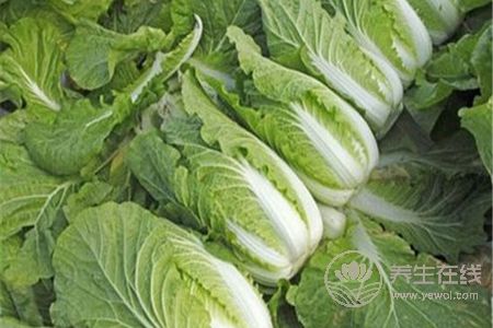 大暑皮膚干燥怎么辦?大暑吃哪些食物保濕補水?