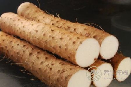 大暑有哪些飲食原則?大暑適合吃哪些食物?