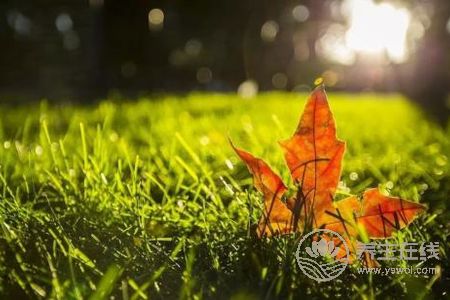 2019年立秋幾點(diǎn)幾分?立秋有哪些節(jié)氣習(xí)俗?