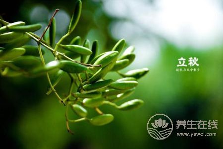 2019年立秋幾點(diǎn)幾分?立秋有哪些節(jié)氣習(xí)俗?