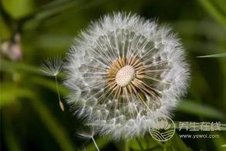 立秋是幾月幾日2019?