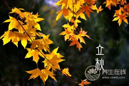 2019年立秋哪一天?立秋進補的禁忌有哪些?-易網<a href=http://www.gyfww.com/ target=_blank class=infotextkey>健康養生</a>網 2019年立秋哪一天?立秋進補的禁忌有哪些?