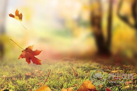 立秋時間是啥時候?立秋如何養生?-易網<a href=http://www.gyfww.com/ target=_blank class=infotextkey>健康養生</a>網 立秋時間是啥時候?立秋如何養生?