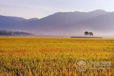 立秋由來是什么?立秋立秋養生食譜有哪些?