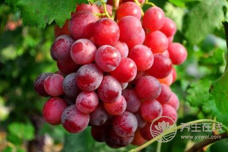 立秋節(jié)氣吃什么食物?立秋后的食譜有哪些?