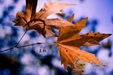 2019年立秋幾點(diǎn)幾分?立秋有哪些節(jié)氣習(xí)俗?