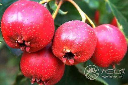 立秋如何養生保健呢?立秋吃什么好?