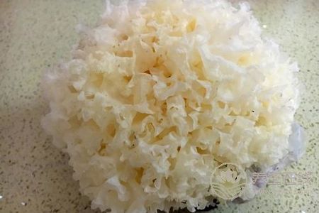 立秋應該吃什么食物好?立秋養生的原則是什么?