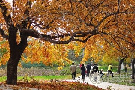 立秋養生禁忌有哪些?立秋吃什么不能吃什么?