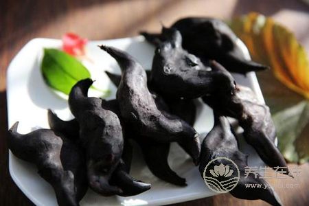 處暑吃哪些蔬菜好?處暑有哪些蔬菜有健脾胃的功效?-易網(wǎng)健康養(yǎng)生網(wǎng) 處暑吃哪些蔬菜好?處暑有哪些蔬菜有健脾胃的功效?