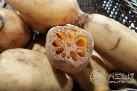 為什么處暑吃蓮藕?處暑吃蓮藕功效有哪些?-易網健康養生網 為什么處暑吃蓮藕?處暑吃蓮藕功效有哪些?