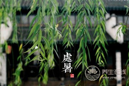 處暑節(jié)氣的含義是什么?處暑后就涼快了嗎?-易網(wǎng)健康養(yǎng)生網(wǎng) 處暑節(jié)氣的含義是什么?處暑后就涼快了嗎?