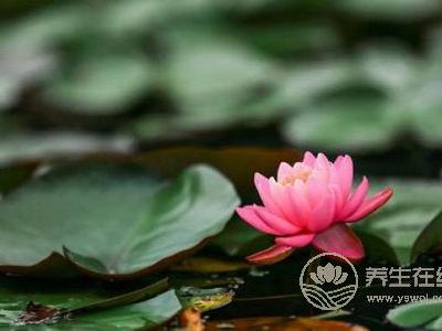 處暑節氣的含義是什么?處暑是哪個季節?