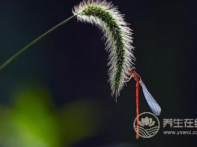 處暑節氣的含義是什么?處暑后就涼快了嗎?