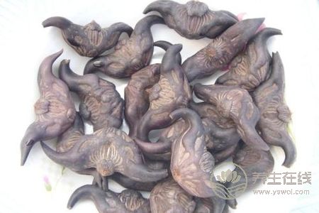 中秋節養生保健應該注意什么?中秋節飲食禁忌有哪些?