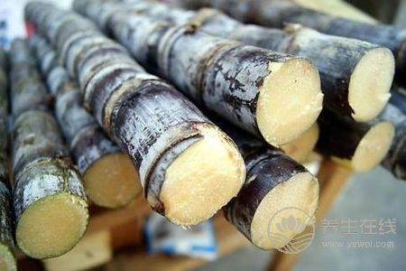 秋季養肺潤肺的方法有哪些?秋季潤肺的偏方有哪些?