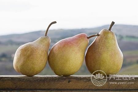 秋季養肺潤肺的方法有哪些?秋季潤肺的偏方有哪些?