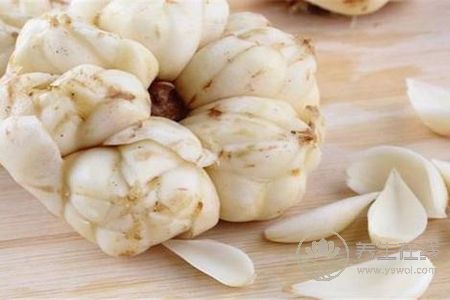 秋季兒童清肺吃什么?秋季兒童清肺食譜有哪些?-易網(wǎng)健康養(yǎng)生網(wǎng) 秋季兒童清肺吃什么?秋季兒童清肺食譜有哪些?