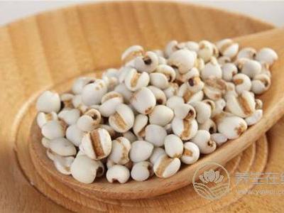 秋季養(yǎng)生吃什么粗糧呢?秋季養(yǎng)生食譜有哪些?