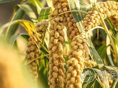 秋季胃口不好吃什么呢?秋季胃口不好的原因是什么?