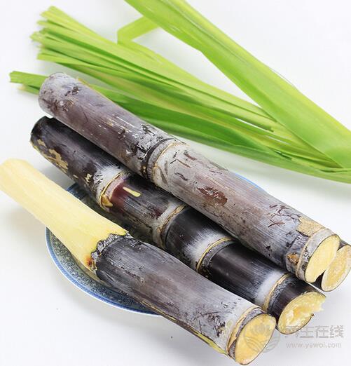 秋分進補離不開四大“寶”-易網健康養生網 秋分進補離不開四大“寶”