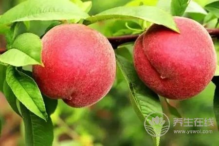 寒露吃什么食物養(yǎng)生?寒露時令食物有哪些?