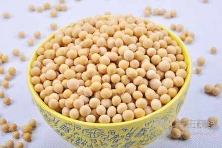 寒露節鴨子吃法是什么?寒露節吃鴨子的食譜有哪些?-易網<a href=http://www.gyfww.com/ target=_blank class=infotextkey>健康養生</a>網 寒露節鴨子吃法是什么?寒露節吃鴨子的食譜有哪些?