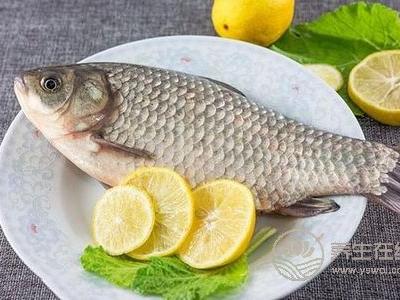 寒露節(jié)氣吃什么?寒露節(jié)氣潤(rùn)燥食譜是什么?