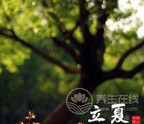 立夏有哪些習俗 立夏吃了蛋熱天不疰夏